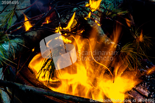 Image of camp fire flames burning at night after hike