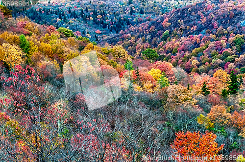 Image of autumn drive on blue ridge parkway