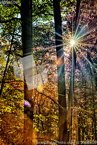 Image of stone mountain north carolina scenery during autumn season