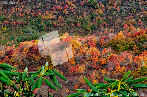 Image of autumn drive on blue ridge parkway