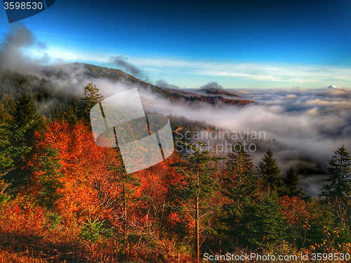 Image of autumn drive on blue ridge parkway