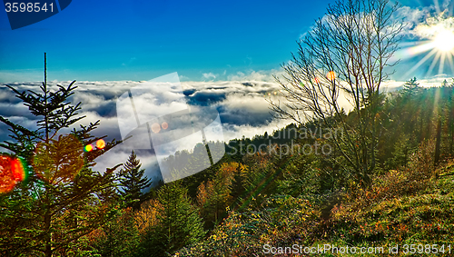 Image of autumng season in the smoky mountains