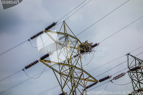 Image of osprey nest on power lines