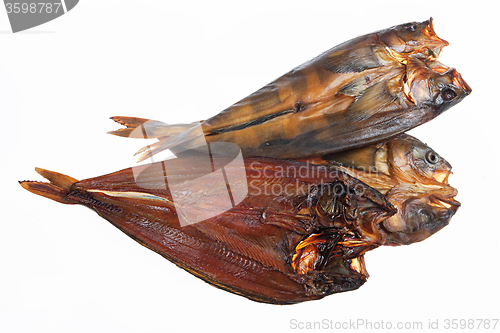 Image of Fish