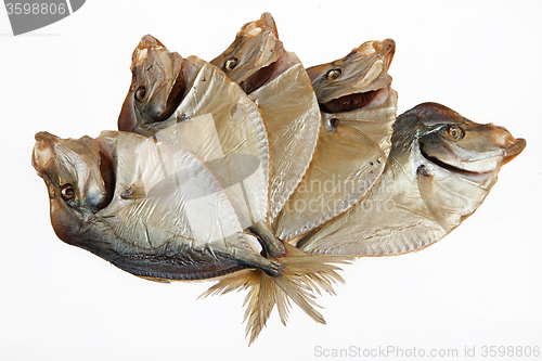 Image of Fish
