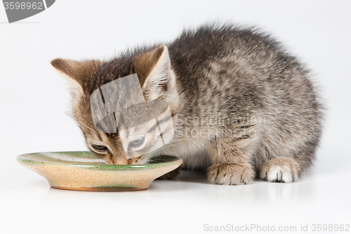 Image of Little Kittens