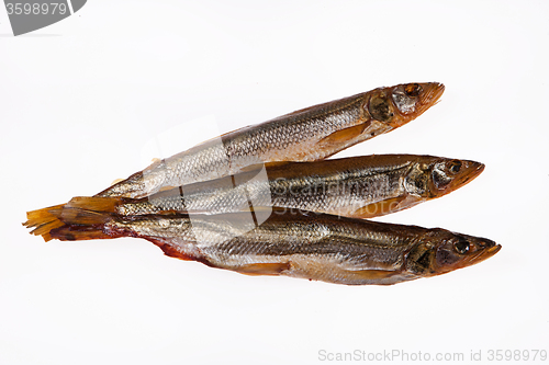 Image of Fish