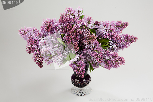 Image of Flowers