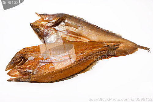 Image of Fish