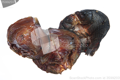 Image of Fish