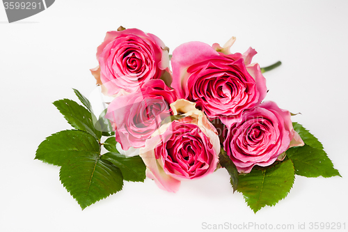 Image of Flowers