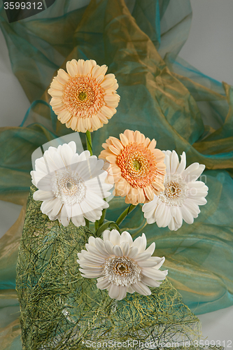 Image of Flowers