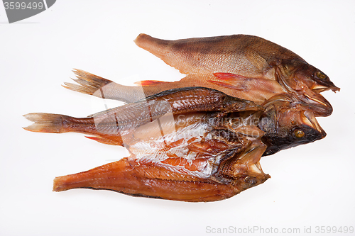 Image of Fish