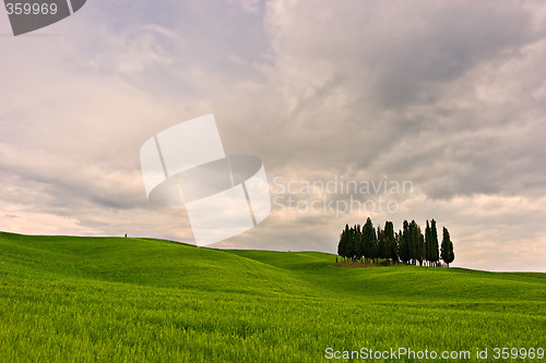 Image of Beautiful Toscana