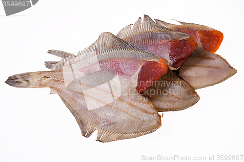 Image of Fish
