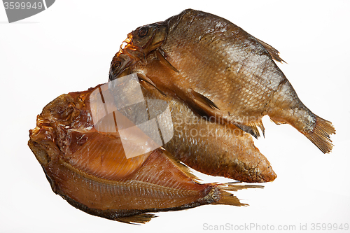 Image of Fish