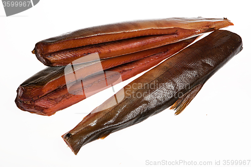Image of Fish