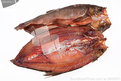Image of Fish