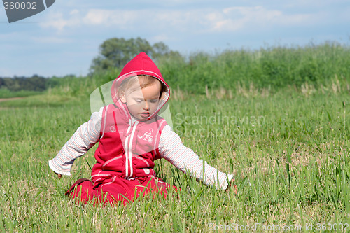 Image of Little Red Riding Hood