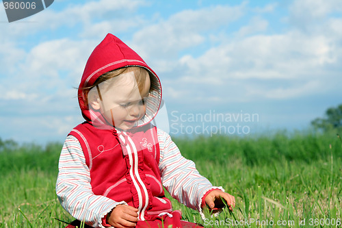 Image of Little Red Riding Hood