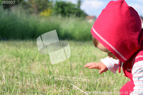 Image of Little Red Riding Hood