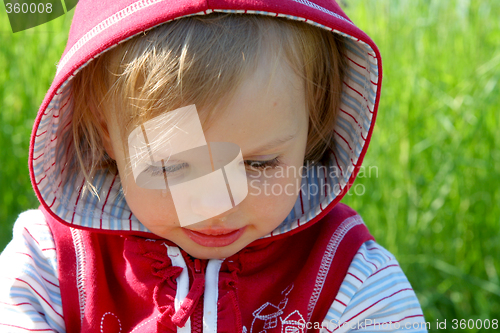 Image of Little Red Riding Hood