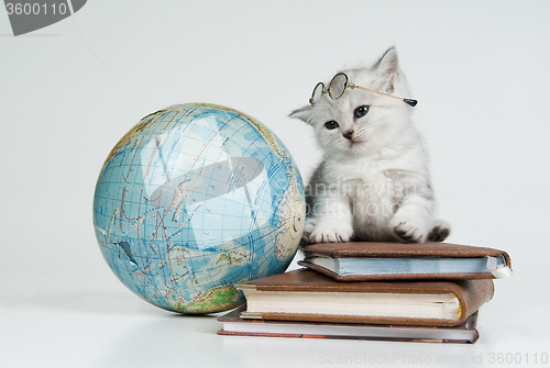 Image of Kitten, Books And Globe