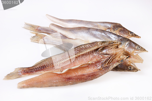 Image of Fish