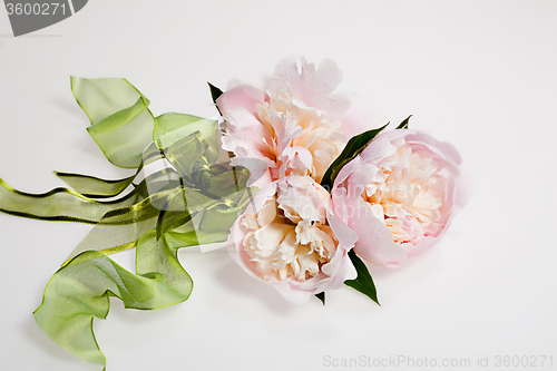 Image of Flowers