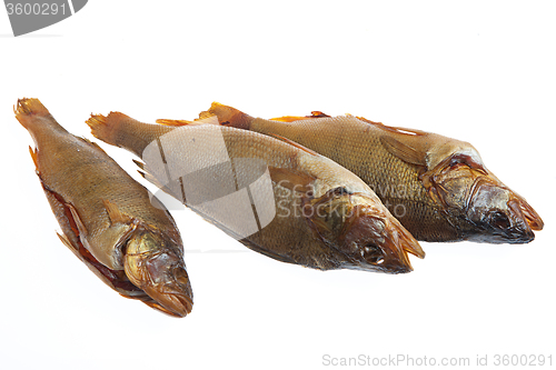 Image of Fish