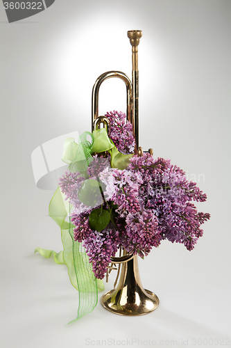 Image of Flowers