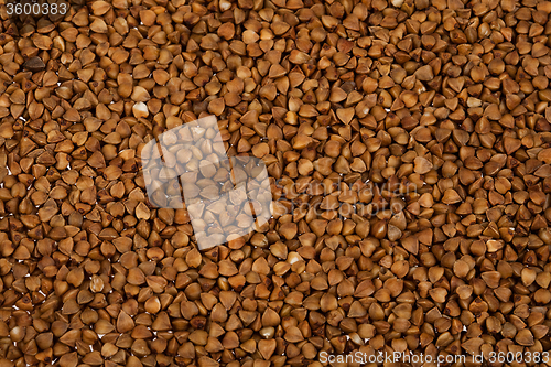 Image of Buckwheat