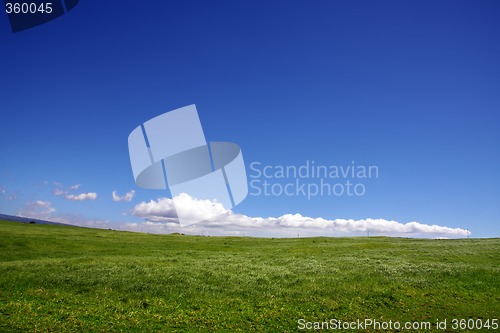 Image of Background of sky and grass