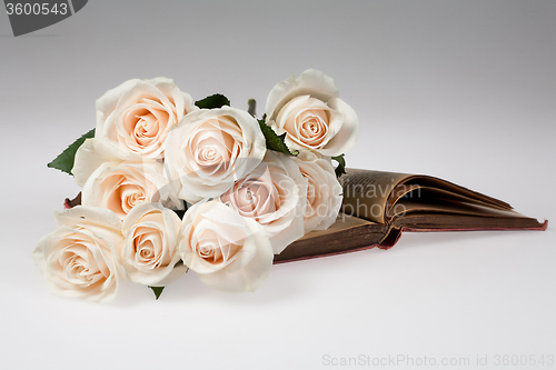 Image of Flowers