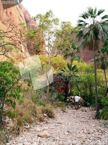 Image of Echidna Walk