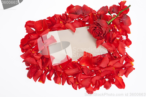 Image of Roses And Letter