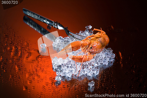 Image of Fork, Ice And Crawfish