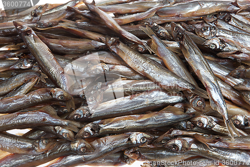 Image of Fish