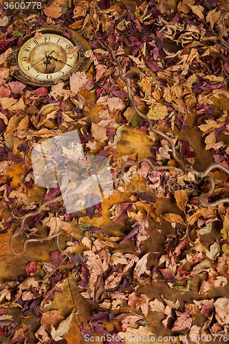 Image of Autumn Leaves And ?lock