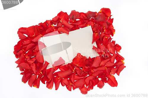 Image of Roses And Letter
