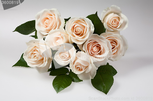 Image of Flowers