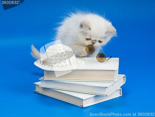 Image of Kitten, Books And Glasses