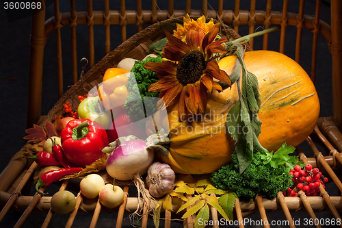 Image of Still Life With Pumpkin
