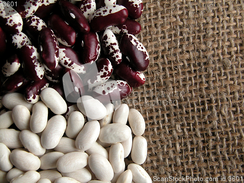 Image of beans