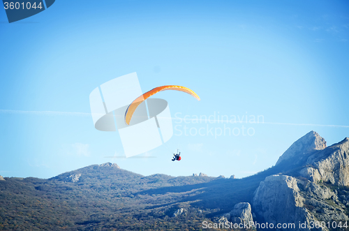 Image of paraglider