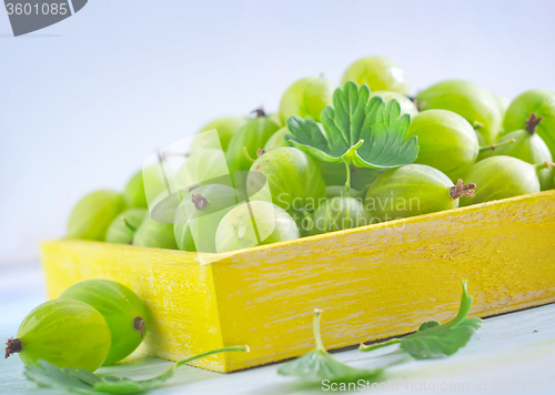 Image of gooseberry