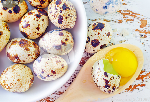 Image of quail eggs