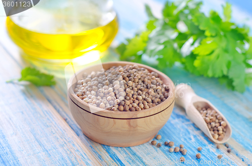 Image of coriander