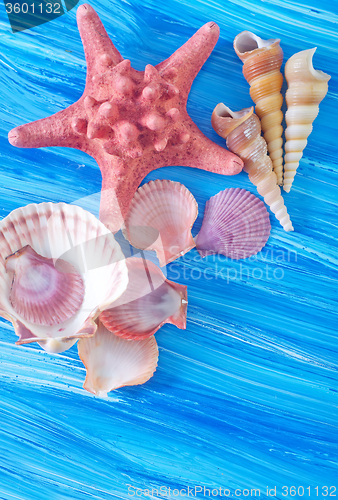 Image of sea shells on blue board