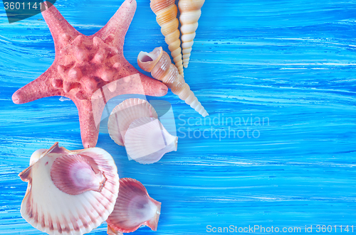 Image of sea shells on blue board